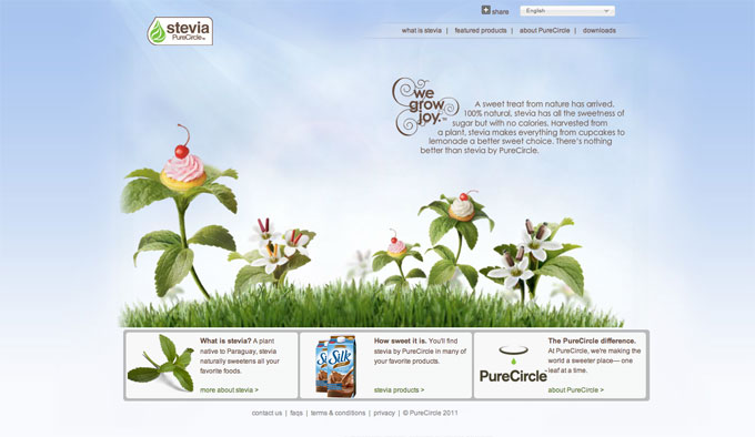 steviapurecircle.com